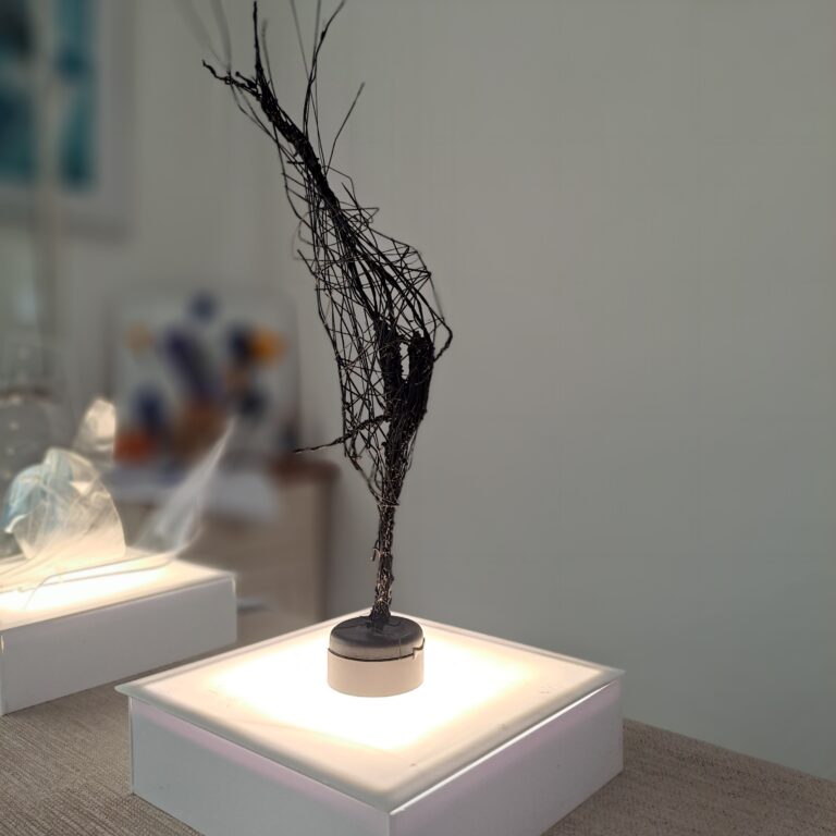 Descomposición y Traza